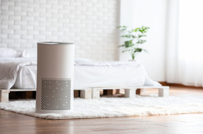 Things You Need to Know Before Purchasing an Air Purifier